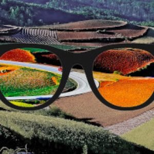 Opticiens: Avez vous vendu des lunettes pour Daltoniens?
