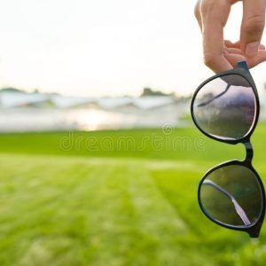 La vente de lunettes, quel Avenir?